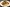 Spaghetti Bolognese/