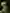 Vincent van Gogh – Head of a skeleton with a burning cigarette – Google Art Project.