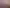 DSCN3009