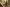 The Most Well-Known Northern California Spots For Bigfoot Sightings image