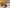 16109952867_4bb758da7c_k