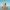 Pályi captures Lake Balaton’s enduring appeal for holidaymakers