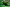 Tahiti Tahiti Nui Island Maraa Grotto cave covered green vegetation tropical travel traveling tourism holiday vacation Pacific