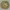 Display Plate with Female Bust. Italian, Deruta. Date: 1515-1525. Dimensions: Diameter: 40.6 cm (16 in.), H: 8.9 cm (3 1/2 in.). Tin-glazed earthenware with copper luster. Origin: Deruta. Museum: The Chicago Art Institute. Author: Italy) Societa anonima cooperativa per la fabbricazione delle maioliche (Deruta.