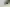 tom-lorber-NSaluZbGc6Y-unsplash