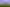 bush-o-graphy-UJiIuat1hZ0-unsplash