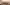 jayanth-muppaneni-LMj_BZKeGfE-unsplash