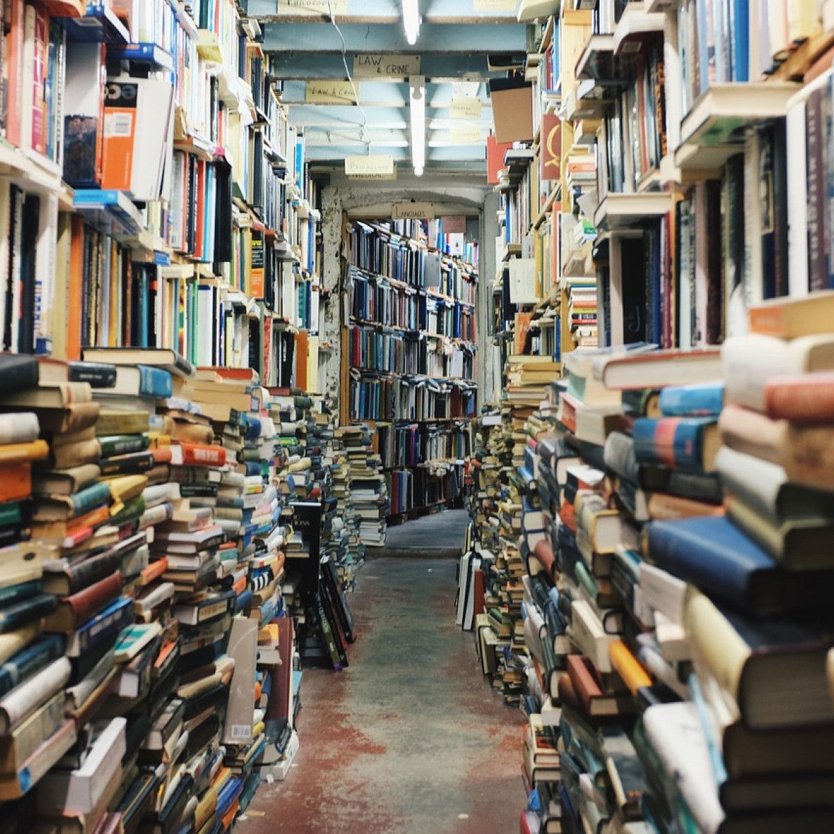 Manchester's independent bookshop renaissance