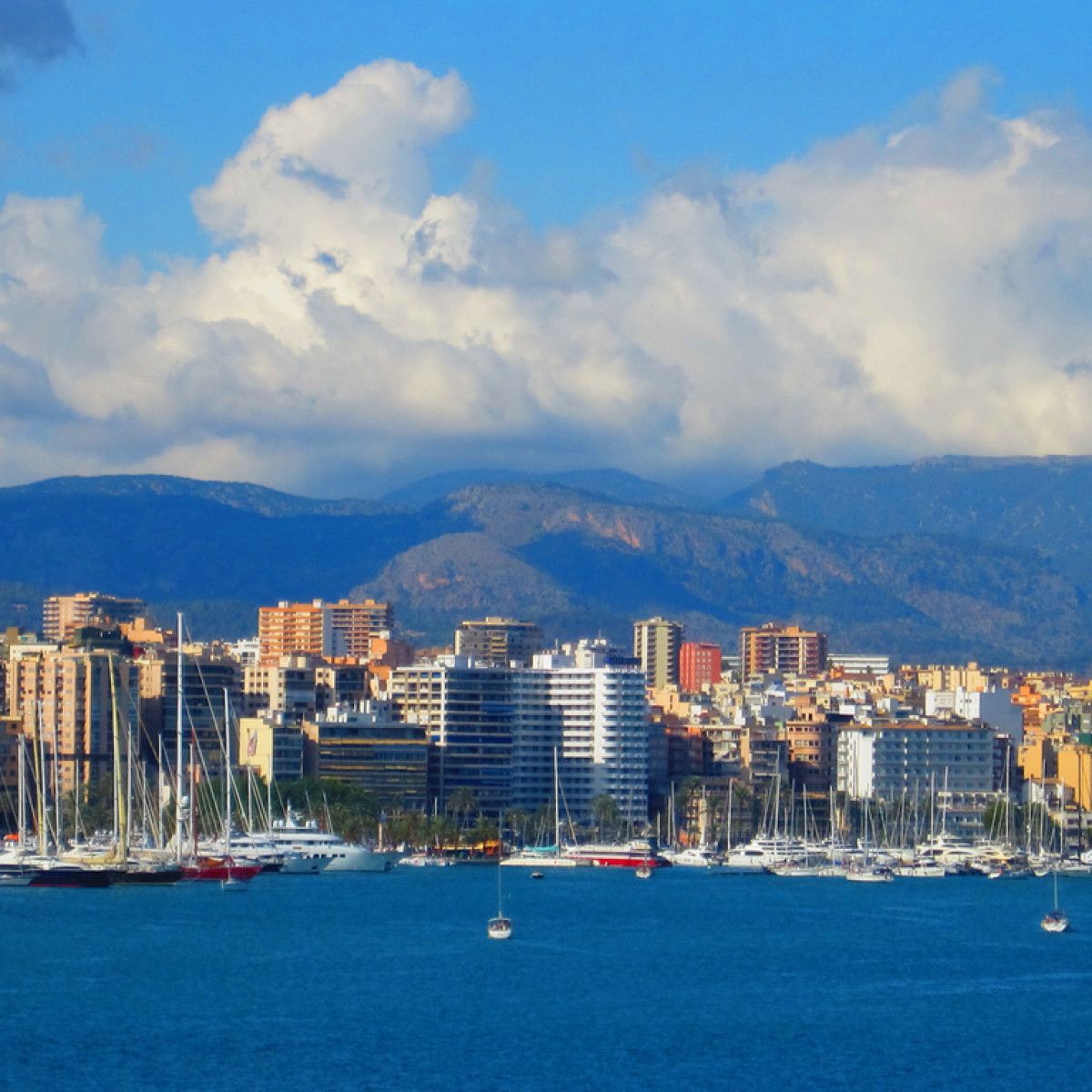 Caladan  Palma de Mallorca