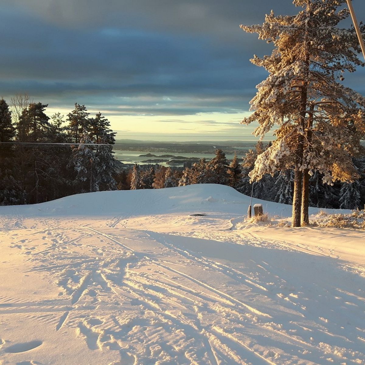 Snow in Oslo 