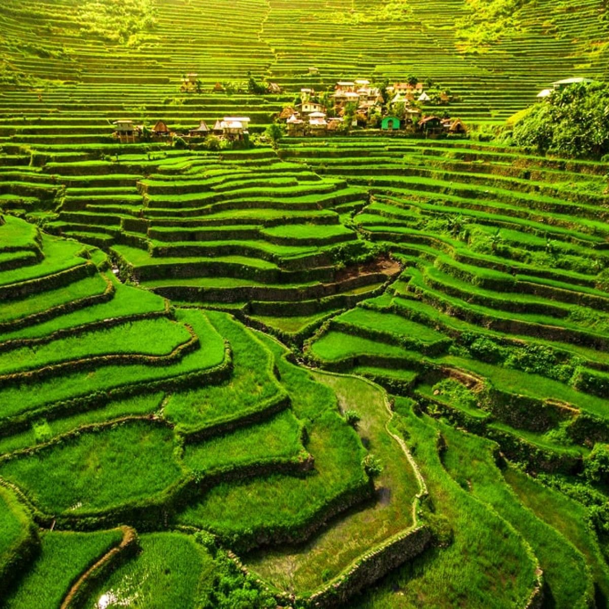 Banaue Rice Terraces Philippines, History, Map, Facts, 53% OFF