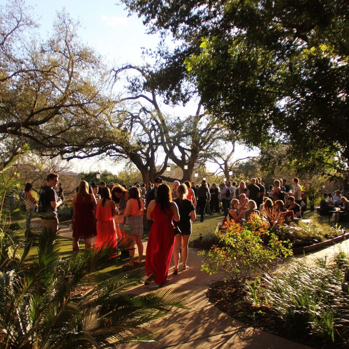 Intimate and Soulful East Austin Outdoor Wedding