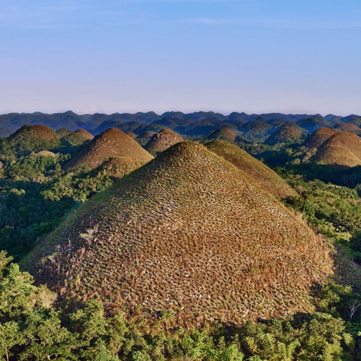 Exploring The Chocolate Hills Of Bohol Philippines