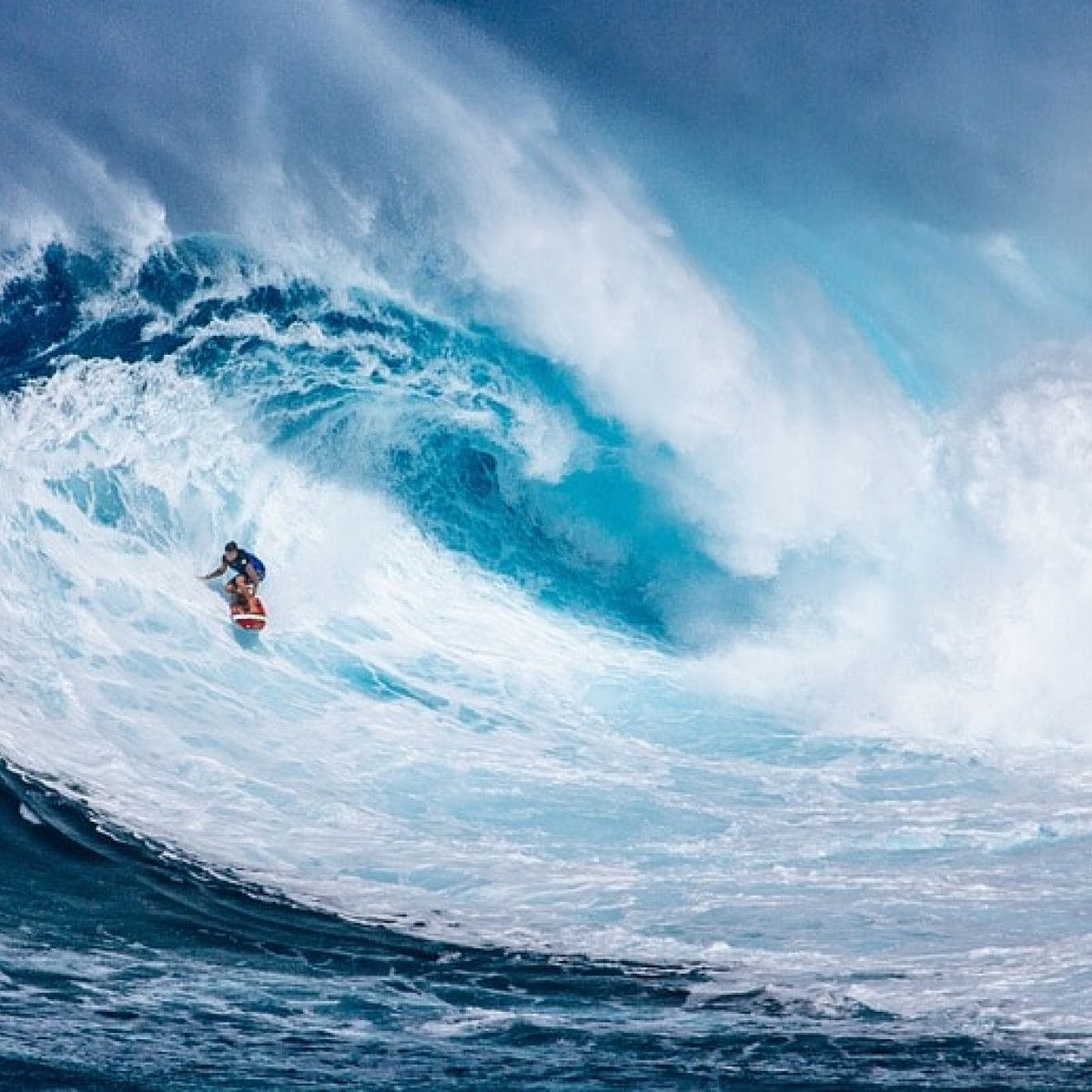 Eddie Would Go: The Story of Eddie Aikau, Hawaiian Hero and Pioneer of Big  Wave Surfing