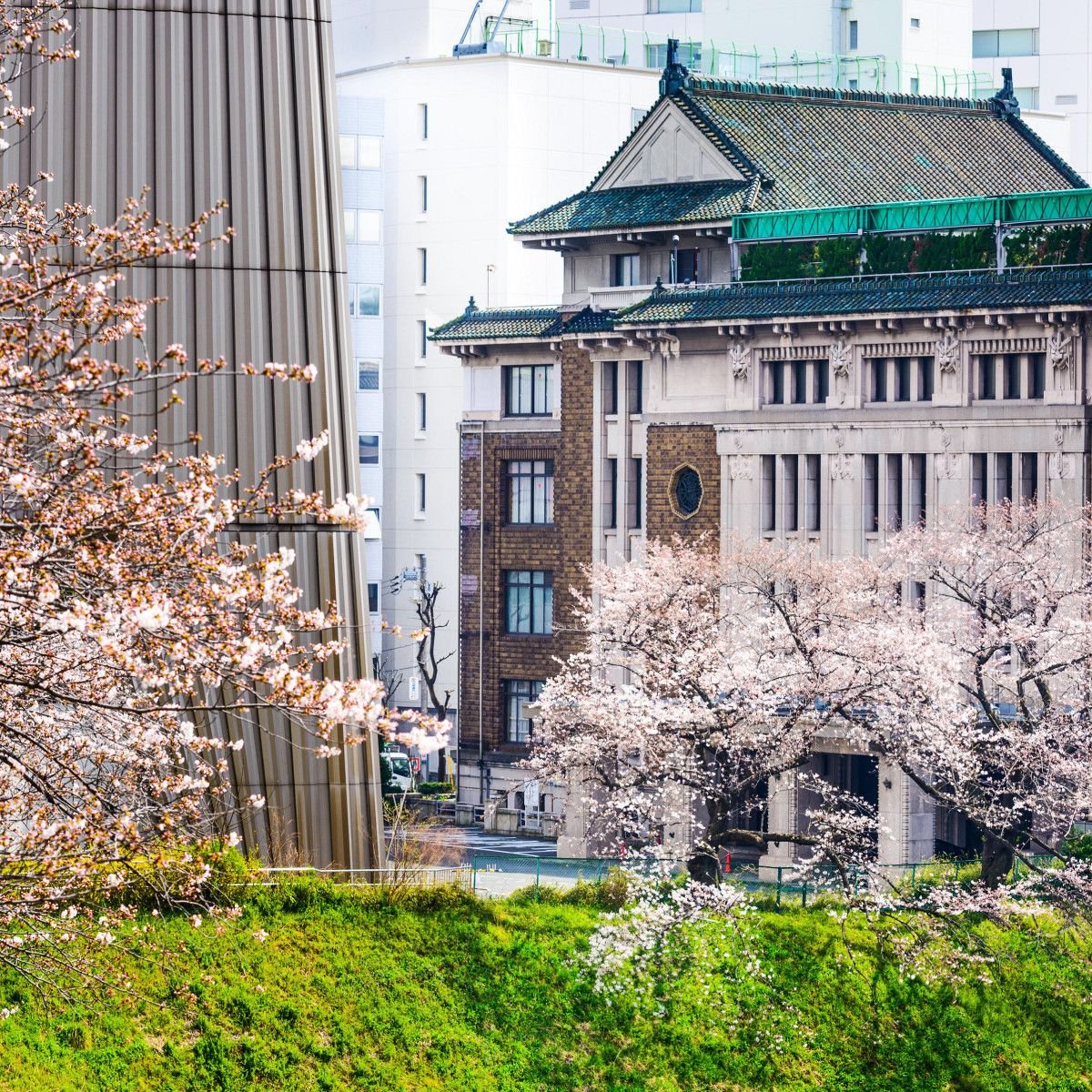 JAPAN'S BEST KEPT SECRET: CRAZY CHEAP LUXURY PRICES IN TOKYO