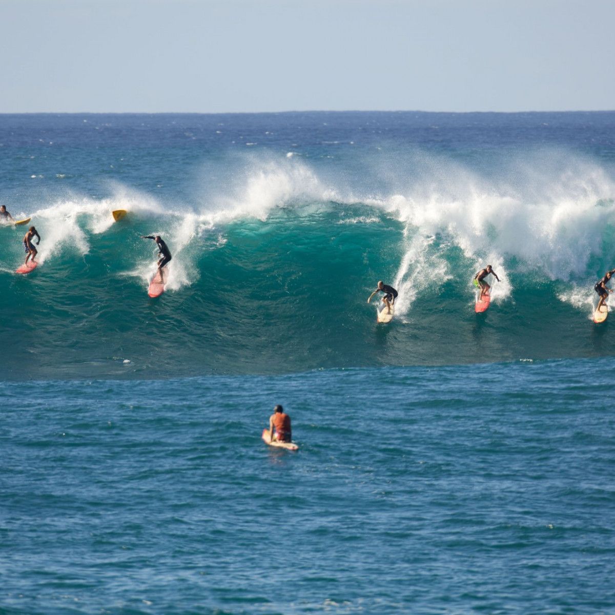 Careers  Surf HNL