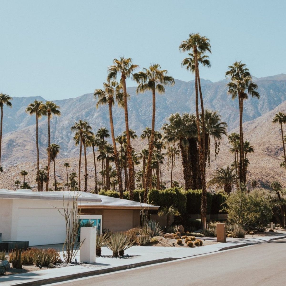 Palm Springs: Inside the desert oasis loved by Sinatra and DiCaprio, Activity Holidays, Travel