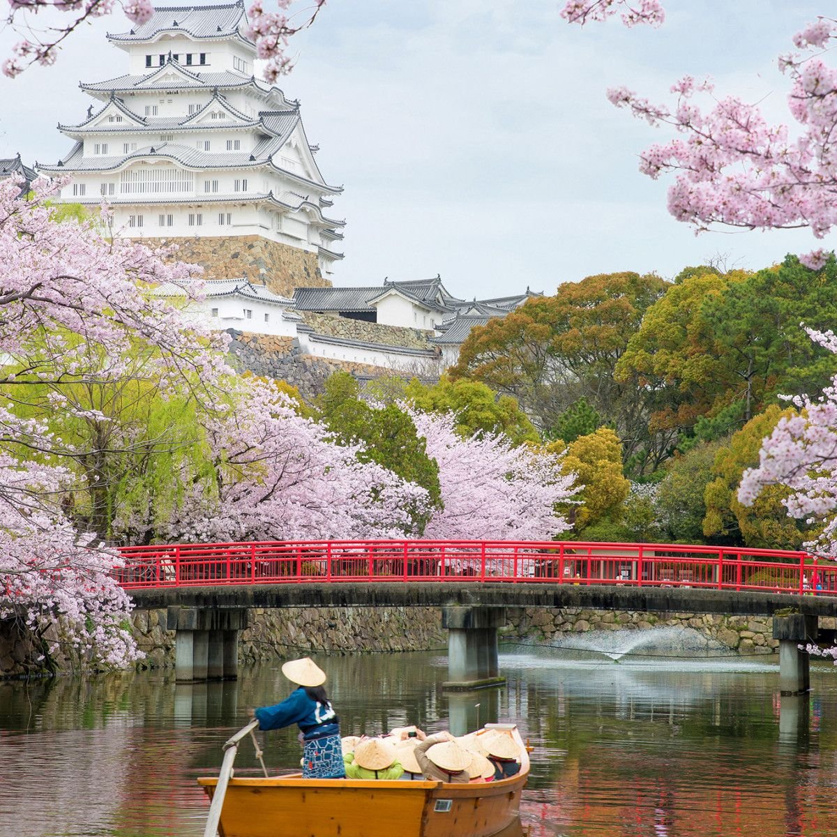 What to Know About the Cherry Blossom Season in Japan - AFAR