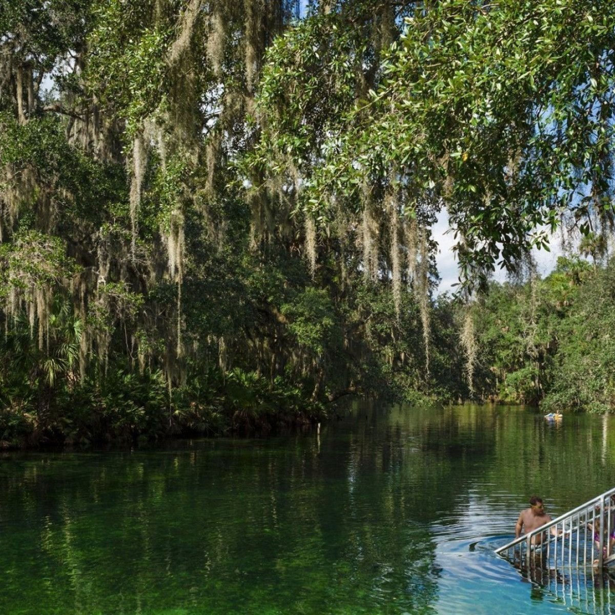 Going Beyond the Theme Parks in Central Florida: Blue Spring State Park