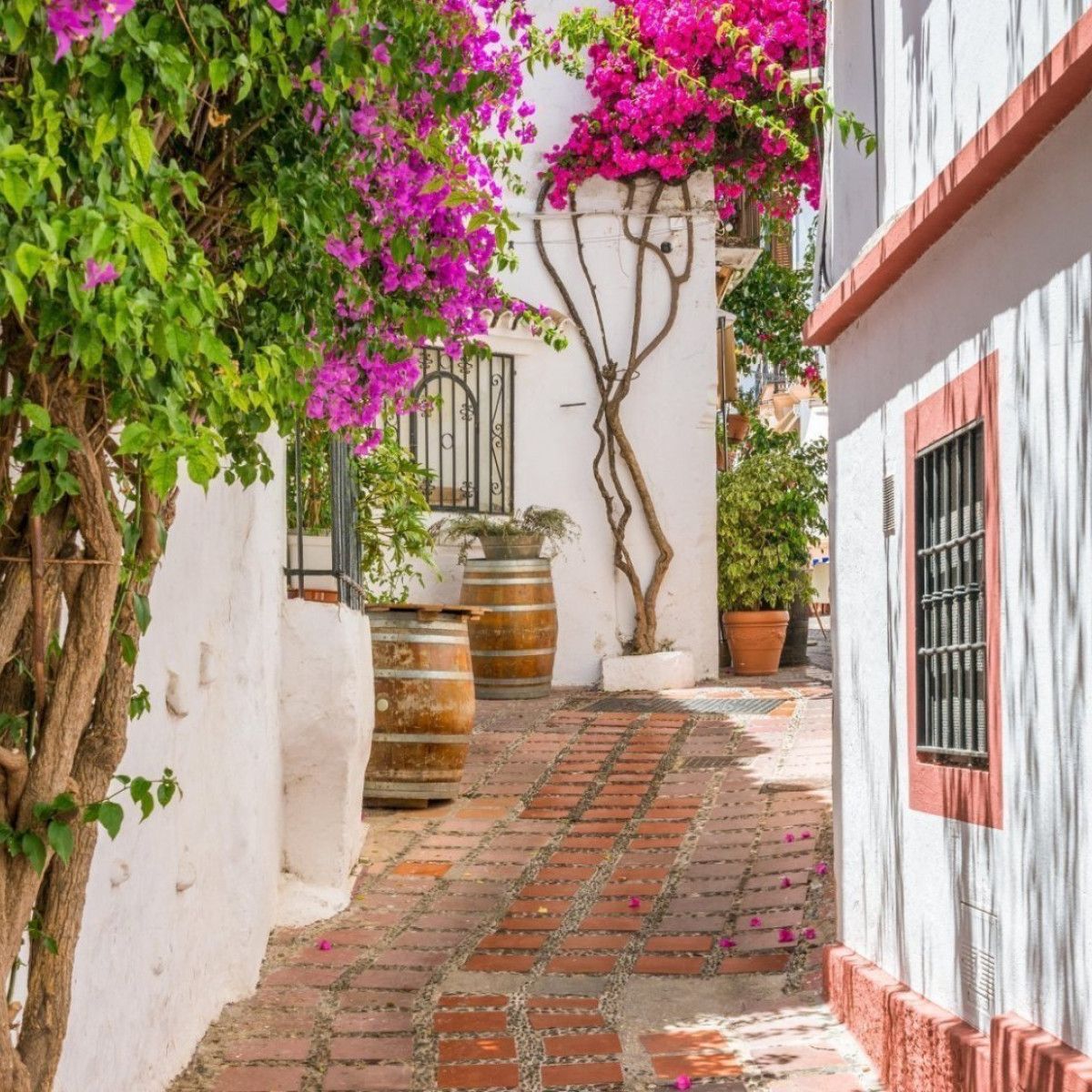 Three Places to Visit in Marbella - The Lovecats Inc