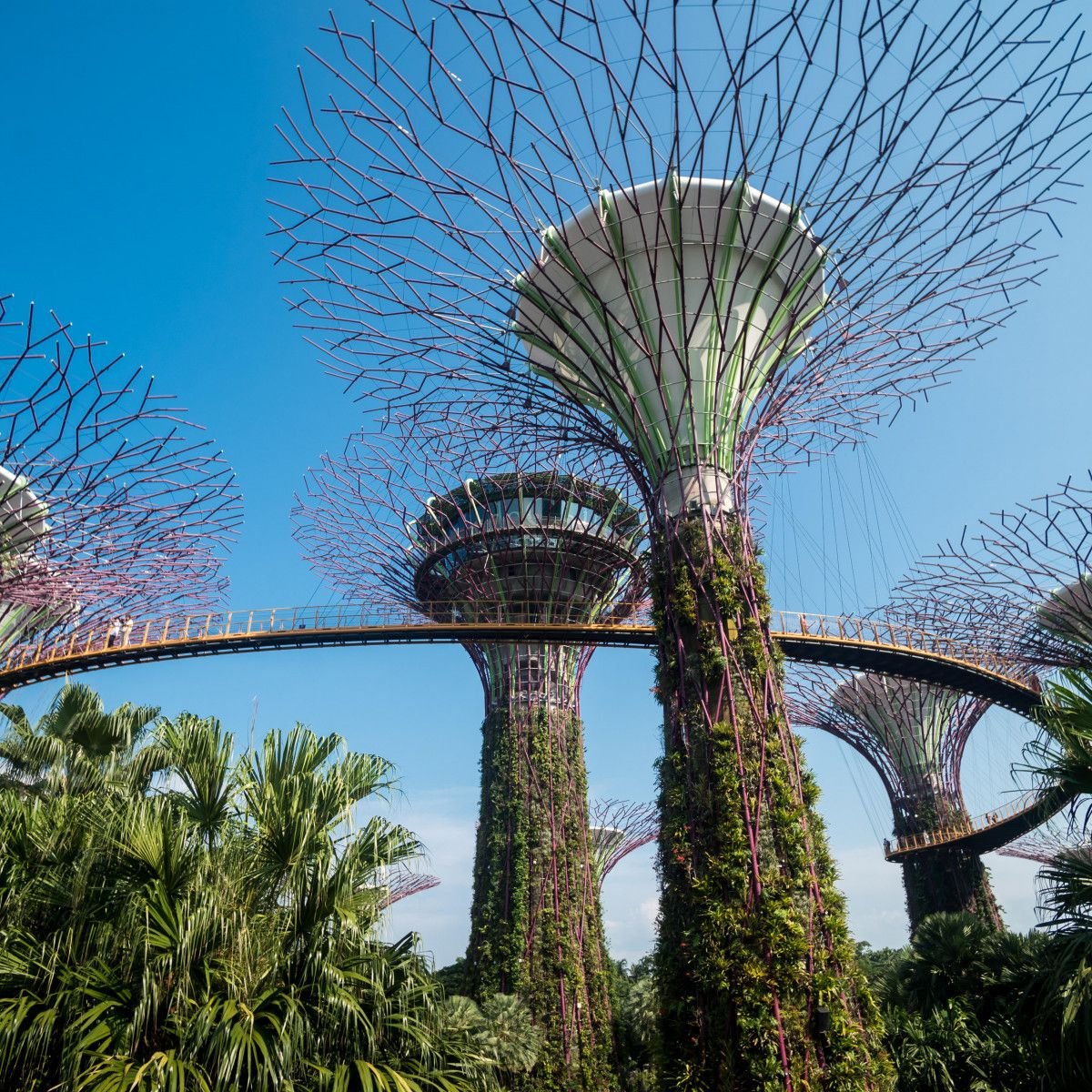 4 Most Visited Attractions in Singapore