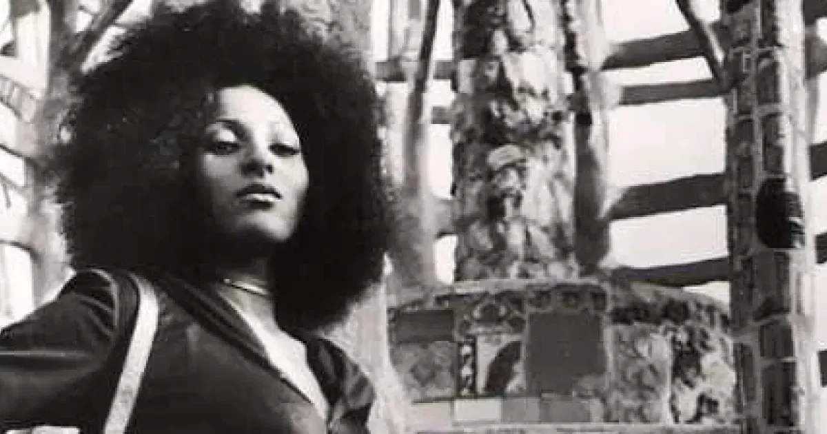 EXPLORING THE BEAUTY OF THE BLACK FEMALE BY A QUIET MILITANT