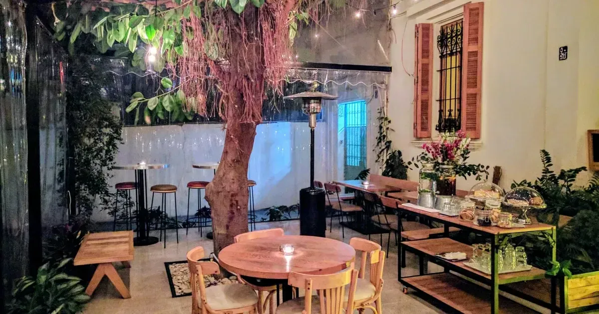 The Best Coffee Shops In Beirut Lebanon For Your Coffee Fix