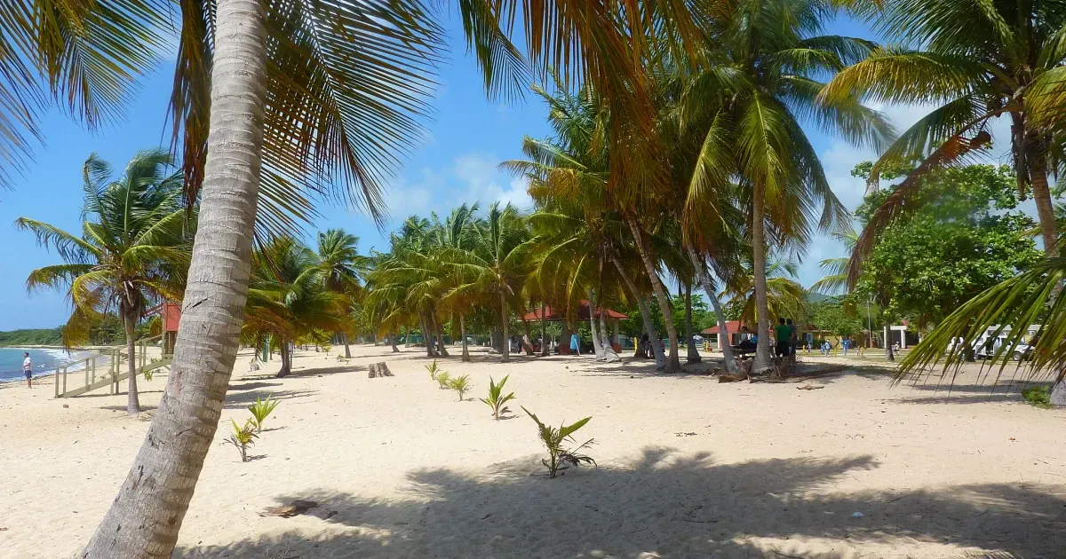 A Vacation Guide To Puerto Rico's Island Of Vieques