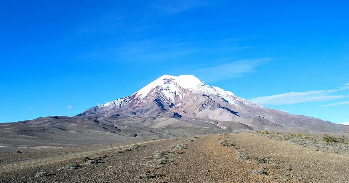 A Guide To Discovering Chimborazo Wildlife Reserve Ecuador