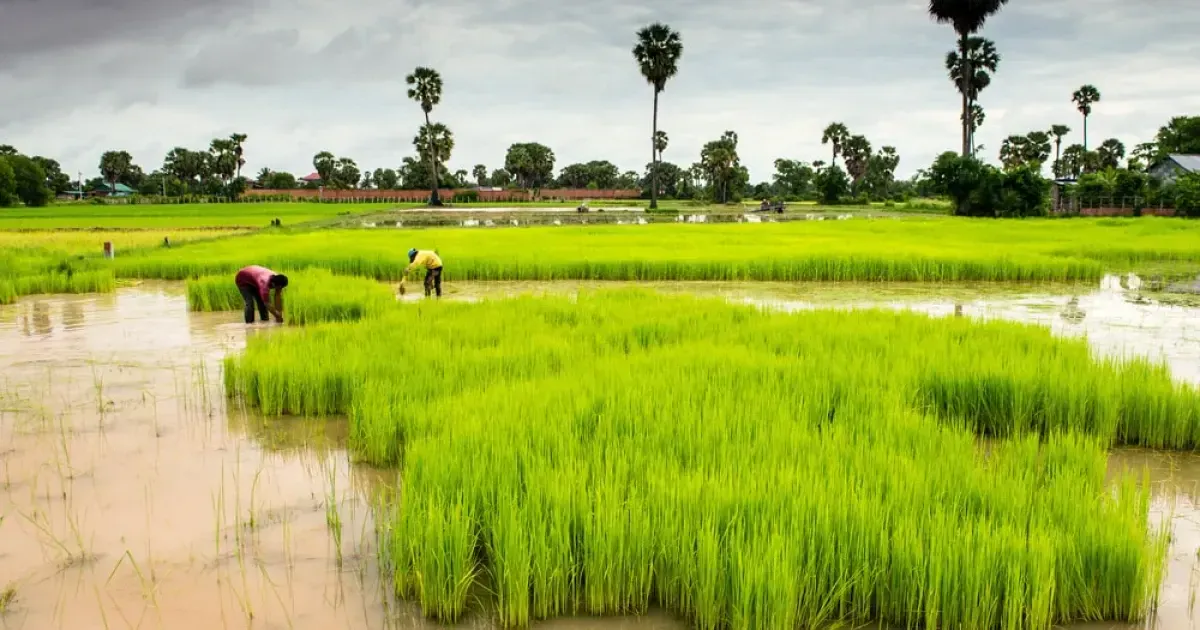 10 Myths About Cambodia That Need To Be Busted