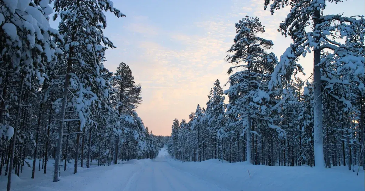 How To Survive Winter In Finland Like A Local