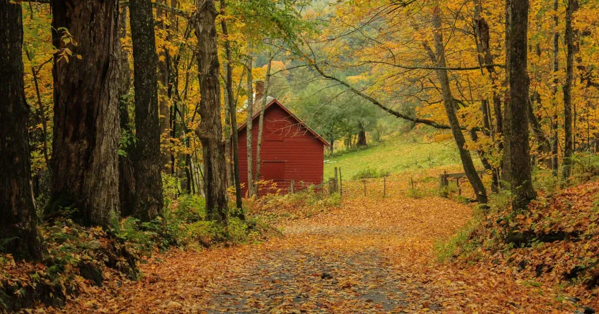 The Essential Books To Read Before Visiting Vermont