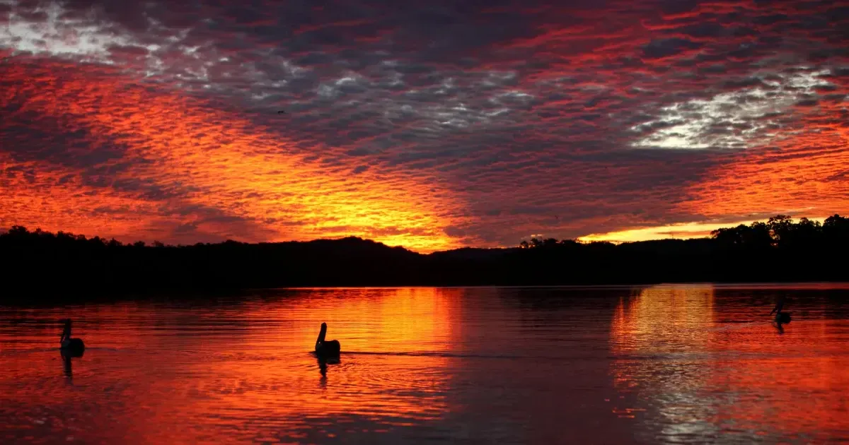 12 Breathtaking Photos Of Australia's Sunshine Coast