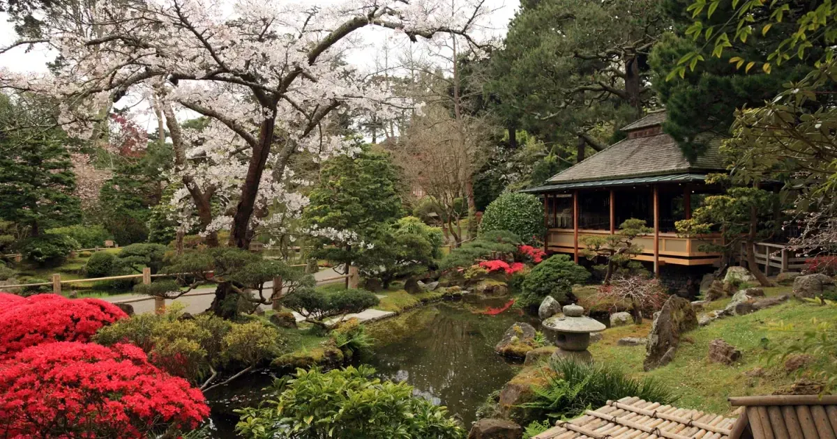 A Brief History Of San Franciscos Japanese Tea Garden