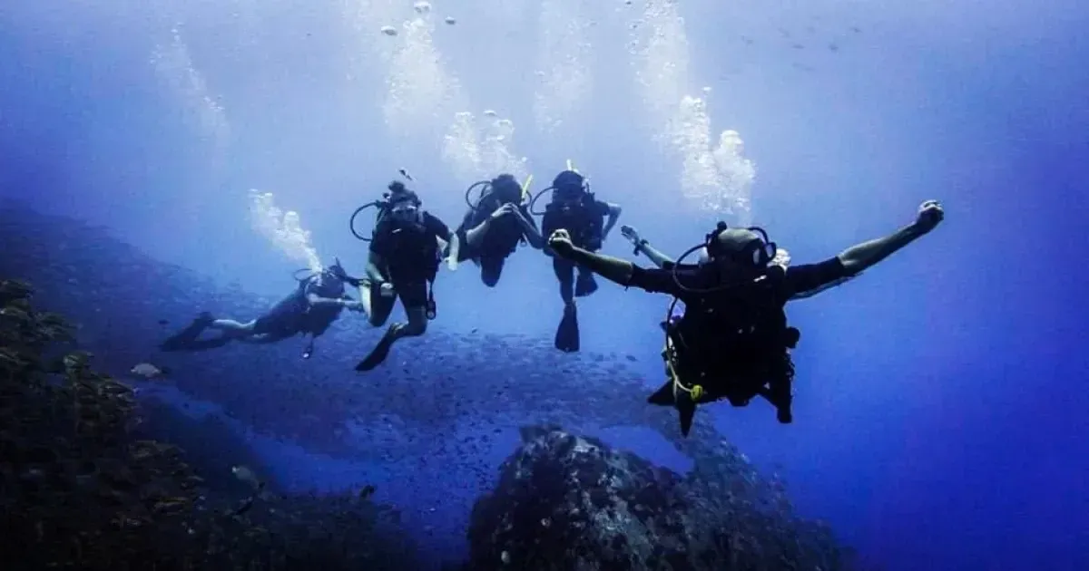 The 5 Best Dive Schools In Koh Tao Thailand