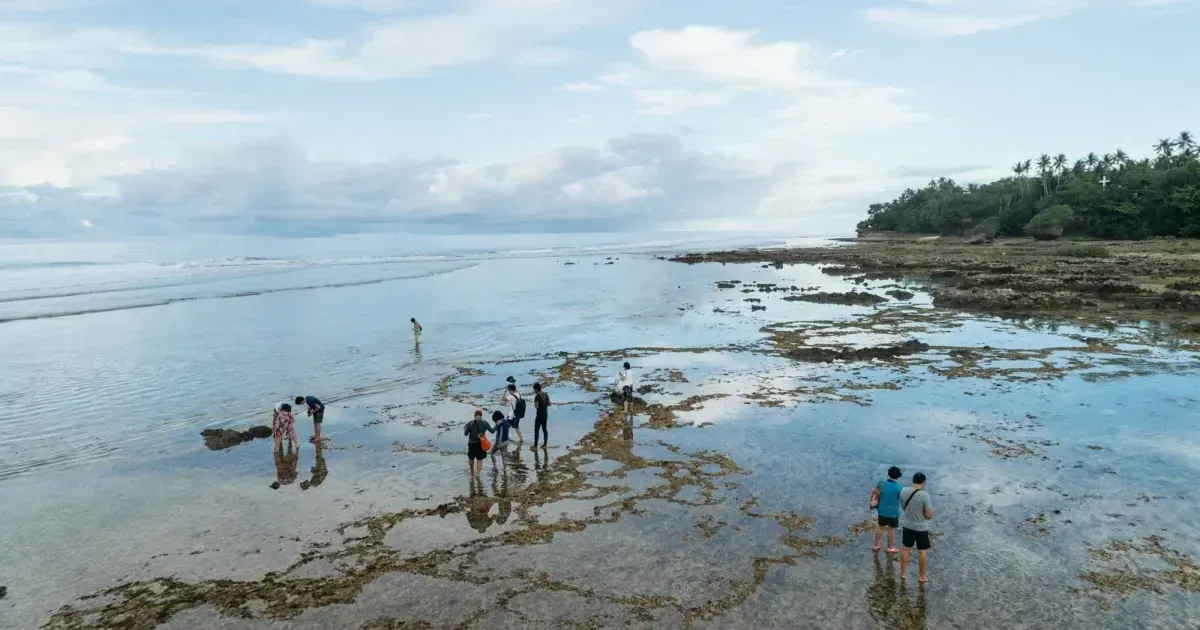 The 10 Best Bars In Siargao, Philippines