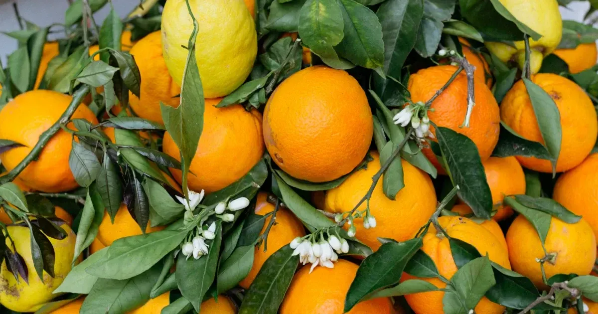 The etymology of “orange”: which came first, the color or the fruit?