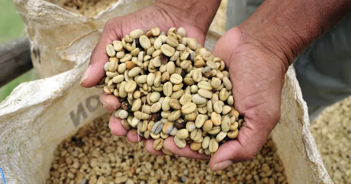 What To Bring Back From Colombia For People Obsessed With Coffee