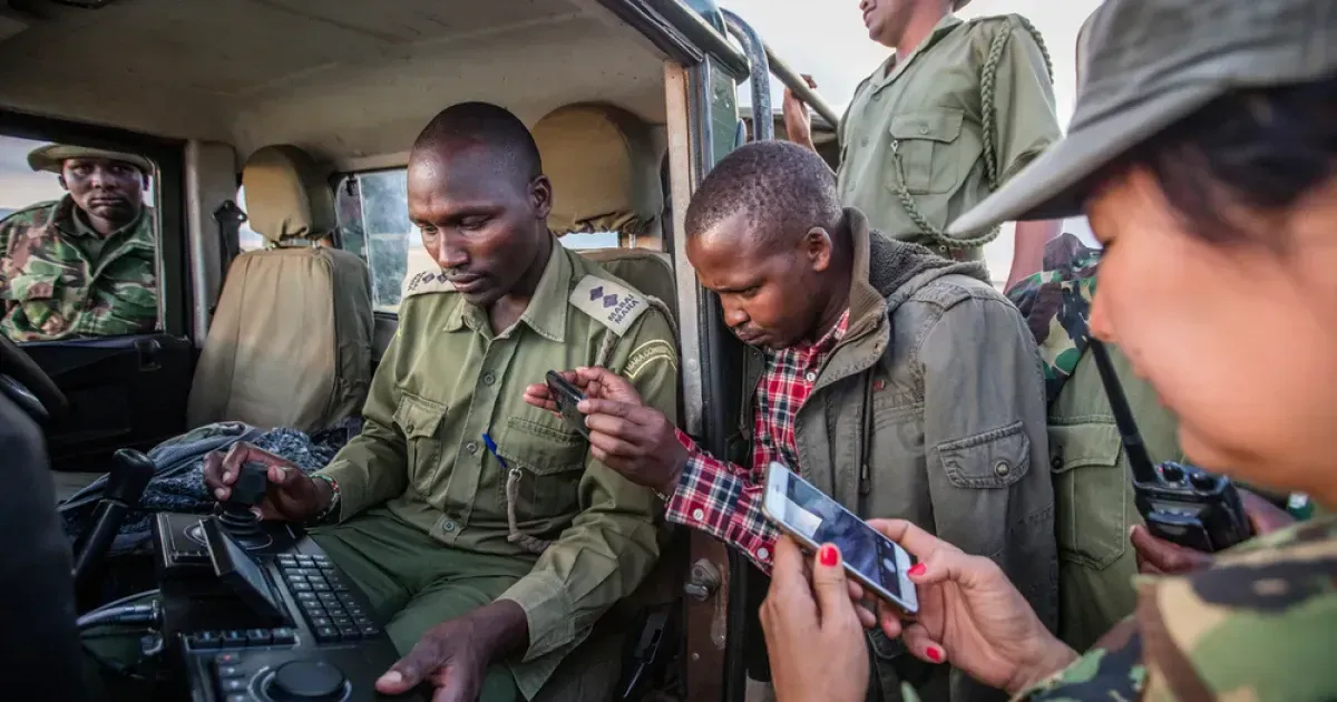 How Technology Is Helping Fight Poaching In Kenya