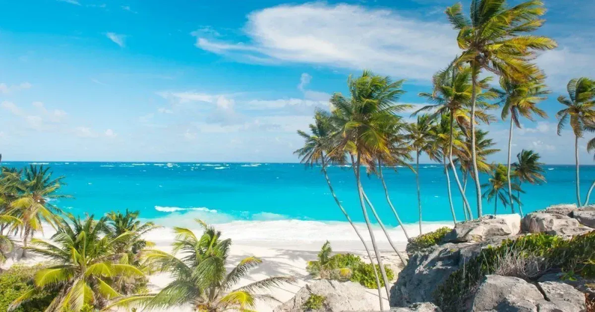 Barbados Travel Guides: Explore Categories And Insider Tips