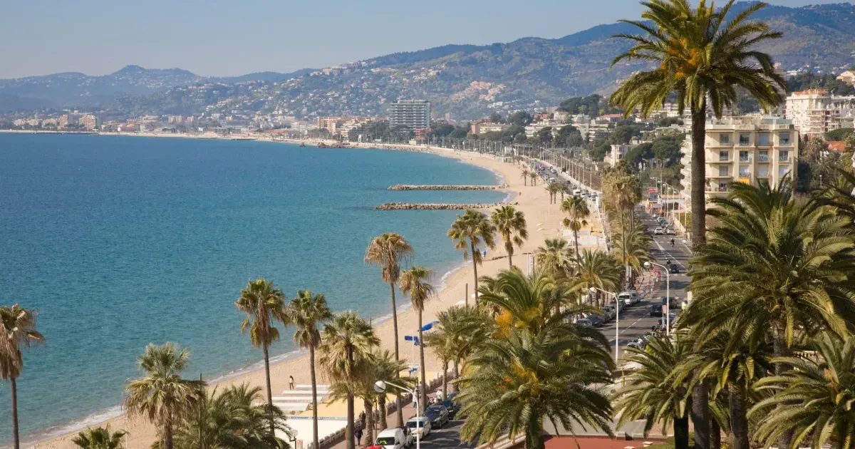 Things You Didn't Know About Cannes