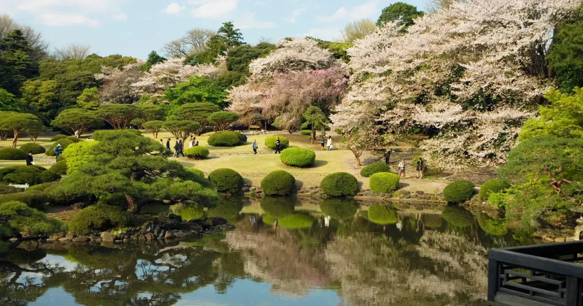 12 Most Beautiful Parks And Gardens In Tokyo