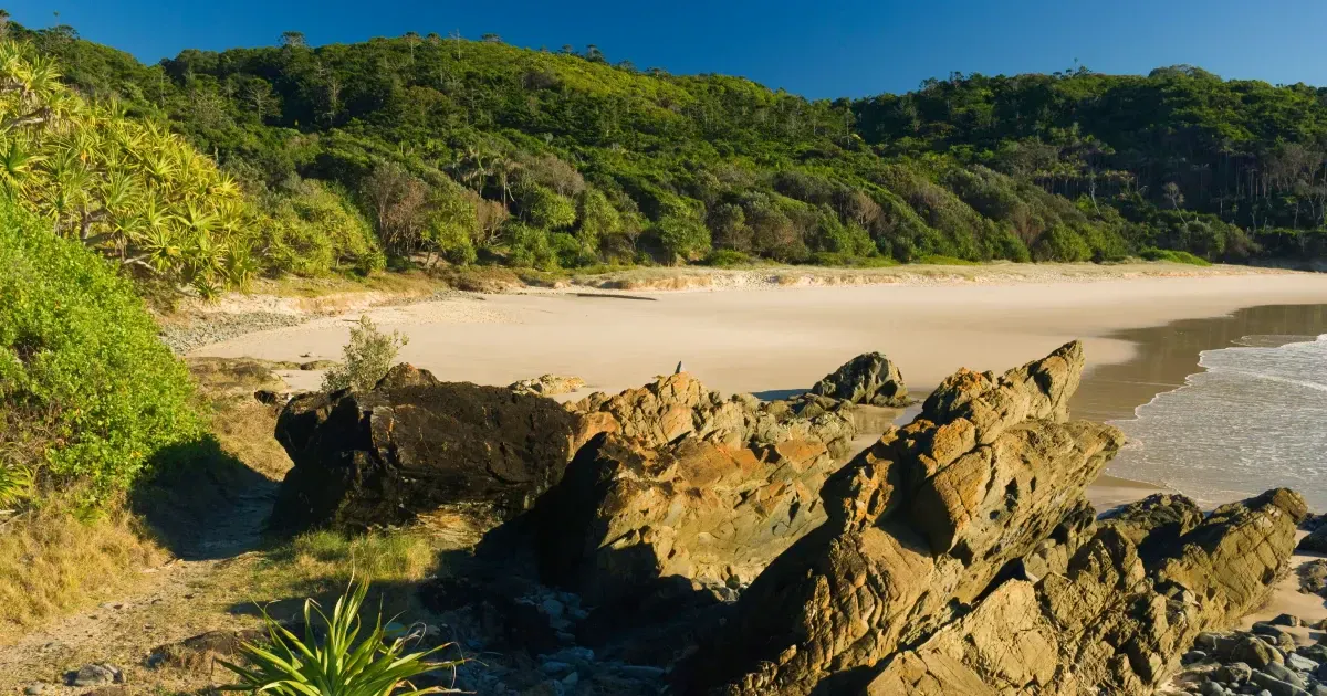 Where To Hike Near Byron Bay Australia