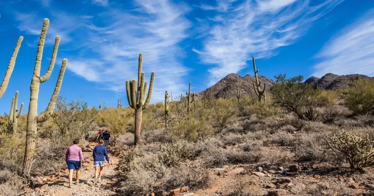 Top Things To Do And See In Scottsdale Arizona