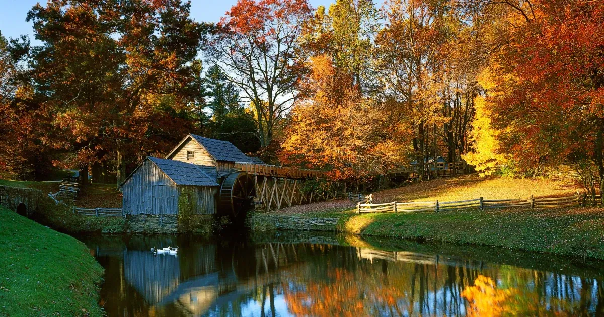 Where To See Fall Foliage In Virginia USA