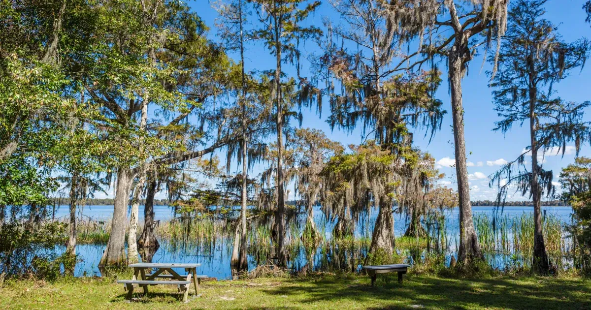 The Best Hiking Trails In Orlando