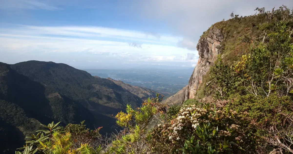 The Top National Parks To Visit In Sri Lanka