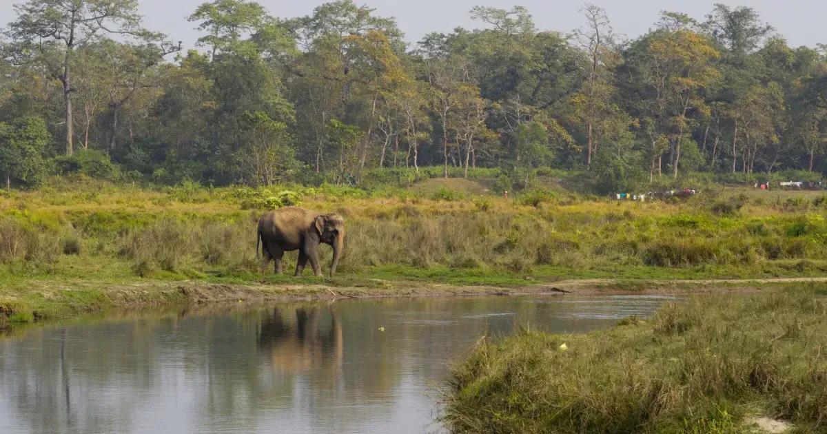 The Most Beautiful National Parks And Wildlife Reserves In Nepal 6512