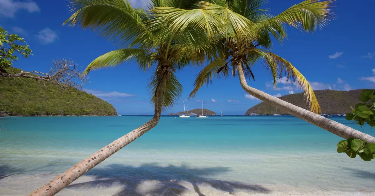 The Most Beautiful Beaches On St John US Virgin Islands