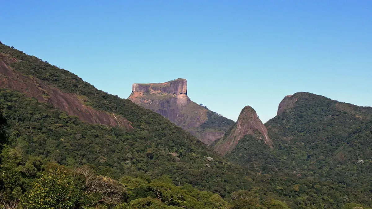 Tijuca forest outlet hike